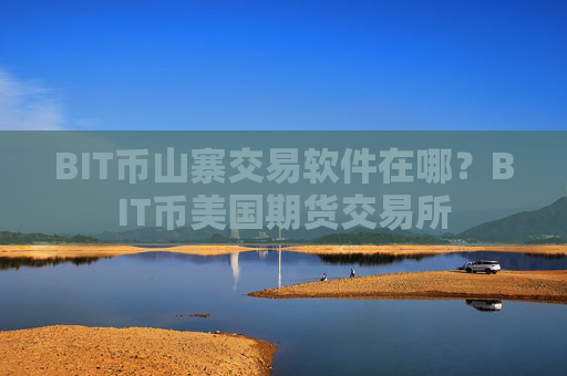 BIT币山寨交易软件在哪？BIT币美国期货交易所