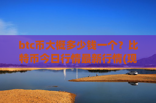 btc币大概多少钱一个？比特币今日行情最新行情(现价732131.95元)