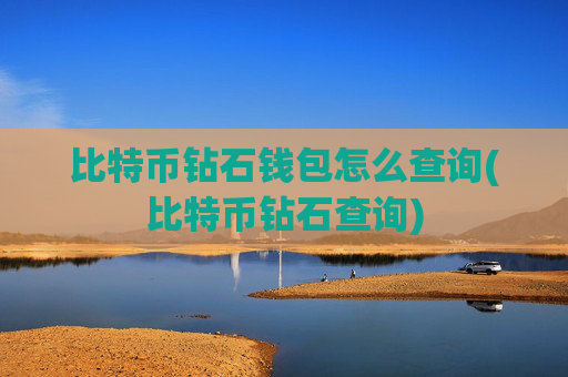 比特币钻石钱包怎么查询(比特币钻石查询)