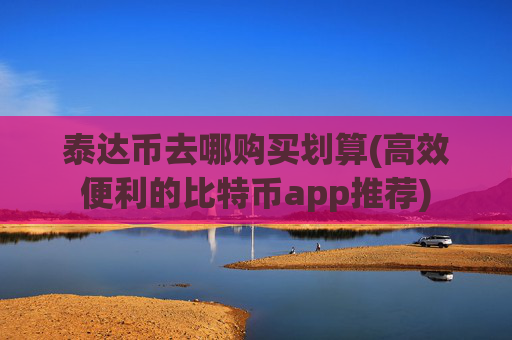 泰达币去哪购买划算(高效便利的比特币app推荐)