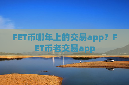 FET币哪年上的交易app？FET币老交易app