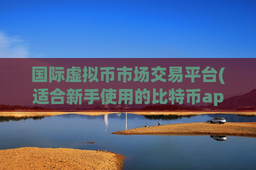 国际虚拟币市场交易平台(适合新手使用的比特币app)