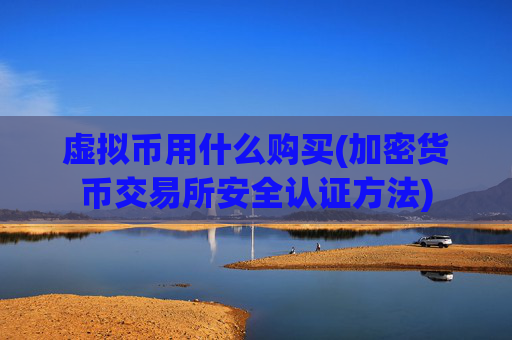 虚拟币用什么购买(加密货币交易所安全认证方法)