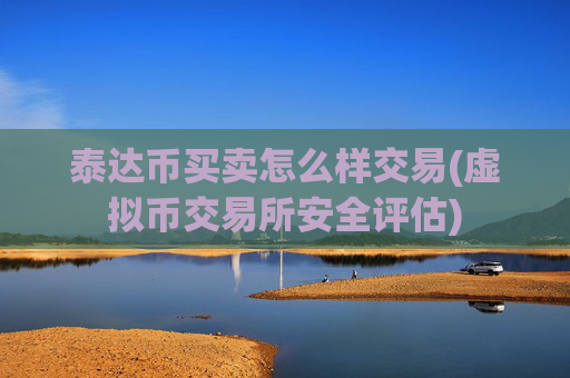 泰达币买卖怎么样交易(虚拟币交易所安全评估)