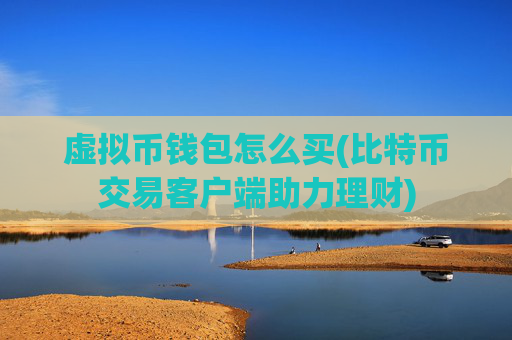 虚拟币钱包怎么买(比特币交易客户端助力理财)