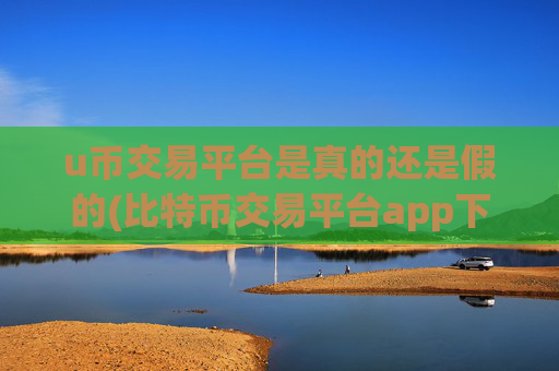 u币交易平台是真的还是假的(比特币交易平台app下载指南)