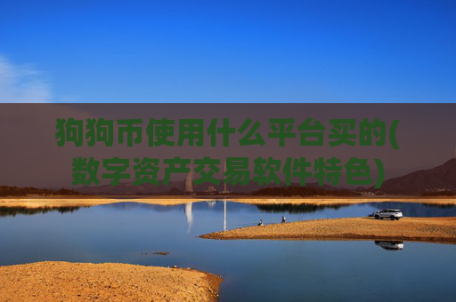 狗狗币使用什么平台买的(数字资产交易软件特色)