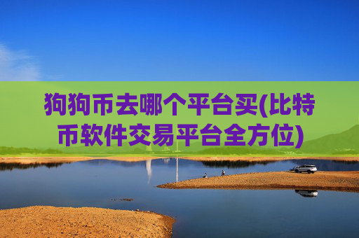 狗狗币去哪个平台买(比特币软件交易平台全方位)