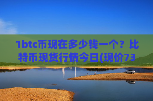 1btc币现在多少钱一个？比特币现货行情今日(现价736977.05元)