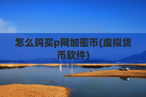 怎么购买p网加密币(虚拟货币软件)