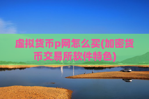 虚拟货币p网怎么买(加密货币交易所软件特色)