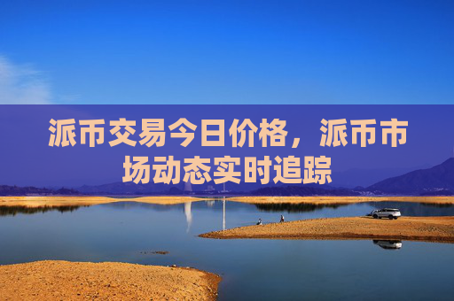 派币交易今日价格，派币市场动态实时追踪