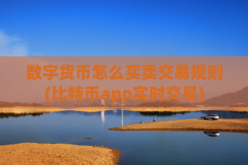 数字货币怎么买卖交易规则(比特币app实时交易)