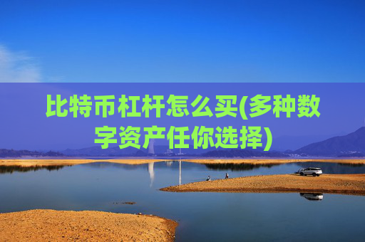 比特币杠杆怎么买(多种数字资产任你选择)
