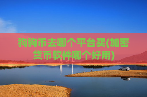 狗狗币去哪个平台买(加密货币软件哪个好用)