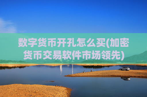 数字货币开孔怎么买(加密货币交易软件市场领先)