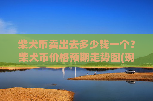 柴犬币卖出去多少钱一个？柴犬币价格预期走势图(现价0.00022813元)