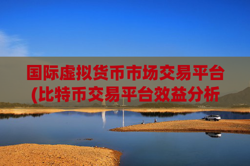 国际虚拟货币市场交易平台(比特币交易平台效益分析)