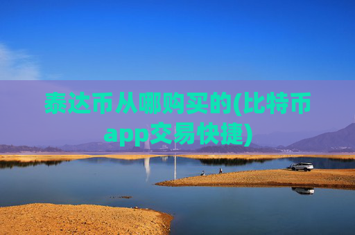 泰达币从哪购买的(比特币app交易快捷)