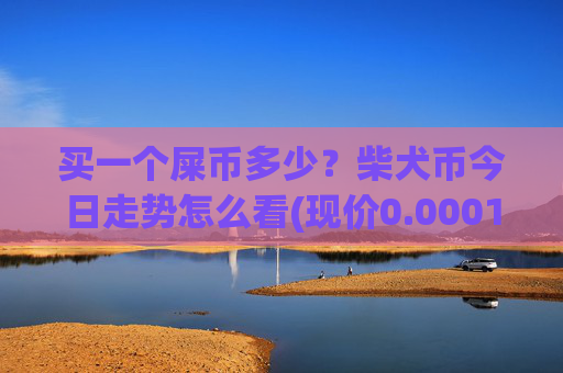 买一个屎币多少？柴犬币今日走势怎么看(现价0.0001577元)
