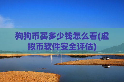 狗狗币买多少钱怎么看(虚拟币软件安全评估)