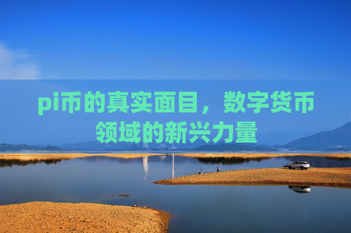 pi币的真实面目，数字货币领域的新兴力量