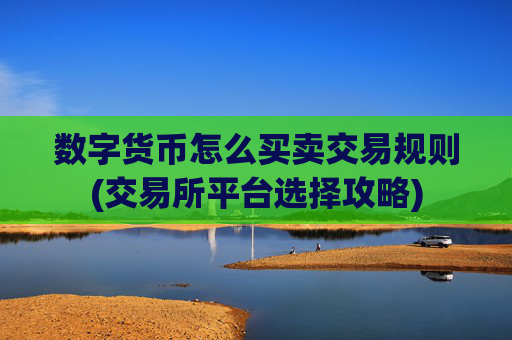 数字货币怎么买卖交易规则(交易所平台选择攻略)