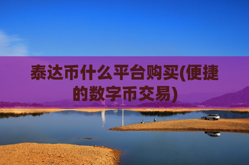 泰达币什么平台购买(便捷的数字币交易)