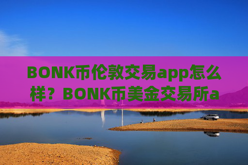 BONK币伦敦交易app怎么样？BONK币美金交易所app下载