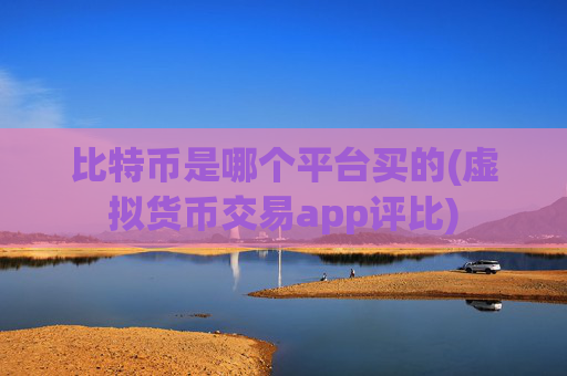 比特币是哪个平台买的(虚拟货币交易app评比)