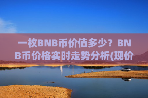 一枚BNB币价值多少？BNB币价格实时走势分析(现价4867.55元)