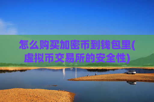 怎么购买加密币到钱包里(虚拟币交易所的安全性)
