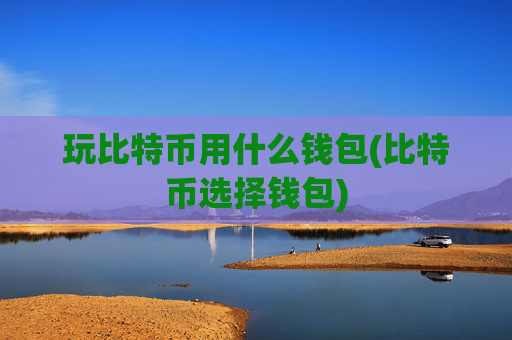 玩比特币用什么钱包(比特币选择钱包)