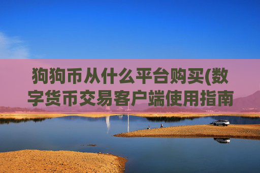 狗狗币从什么平台购买(数字货币交易客户端使用指南)