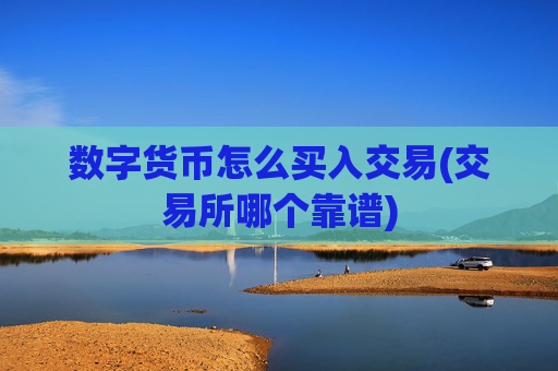 数字货币怎么买入交易(交易所哪个靠谱)