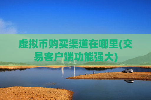 虚拟币购买渠道在哪里(交易客户端功能强大)