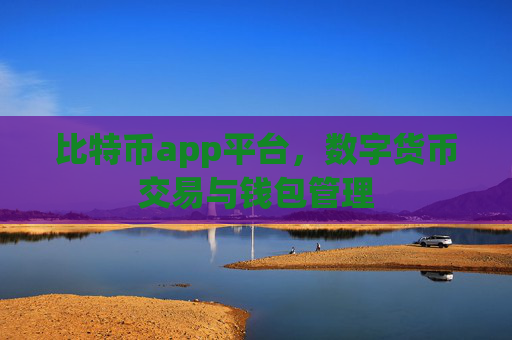 比特币app平台，数字货币交易与钱包管理