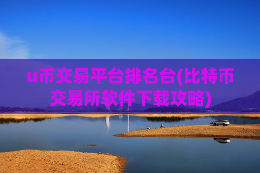 u币交易平台排名台(比特币交易所软件下载攻略)