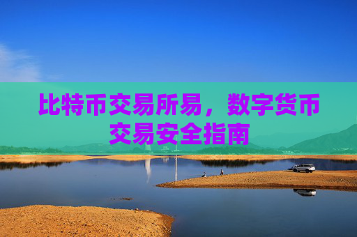 比特币交易所易，数字货币交易安全指南