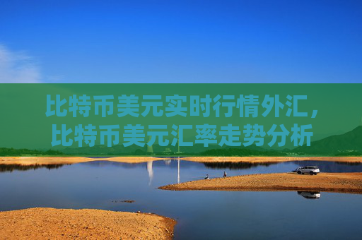 比特币美元实时行情外汇，比特币美元汇率走势分析
