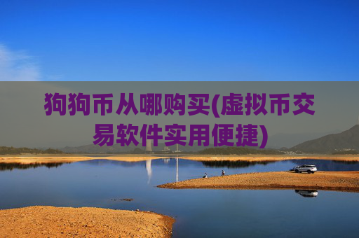 狗狗币从哪购买(虚拟币交易软件实用便捷)