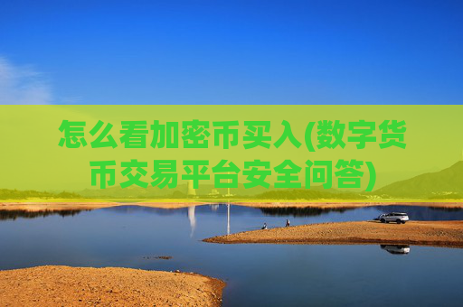 怎么看加密币买入(数字货币交易平台安全问答)