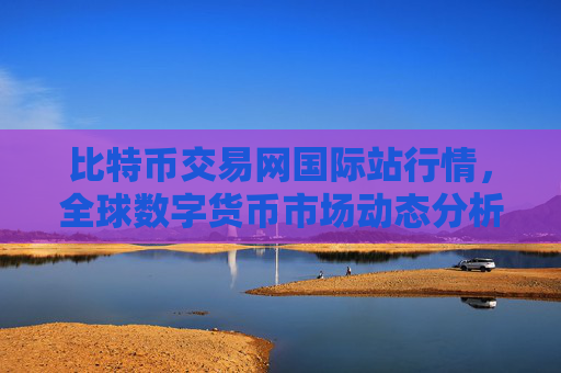 比特币交易网国际站行情，全球数字货币市场动态分析
