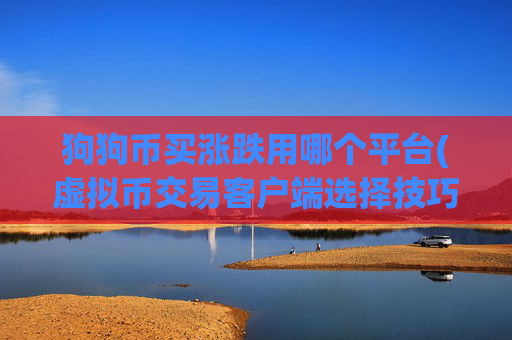 狗狗币买涨跌用哪个平台(虚拟币交易客户端选择技巧)