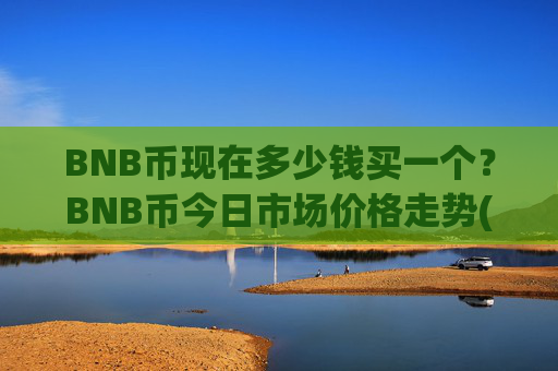 BNB币现在多少钱买一个？BNB币今日市场价格走势(现价4806.57元)