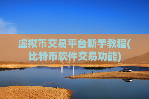 虚拟币交易平台新手教程(比特币软件交易功能)