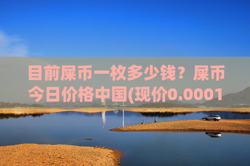 目前屎币一枚多少钱？屎币今日价格中国(现价0.00015757元)