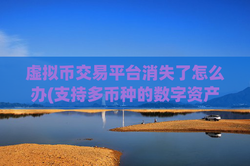 虚拟币交易平台消失了怎么办(支持多币种的数字资产软件服务)