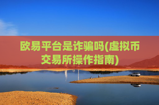 欧易平台是诈骗吗(虚拟币交易所操作指南)