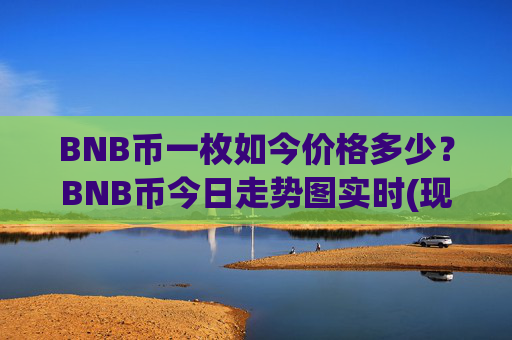 BNB币一枚如今价格多少？BNB币今日走势图实时(现价4835.24元)